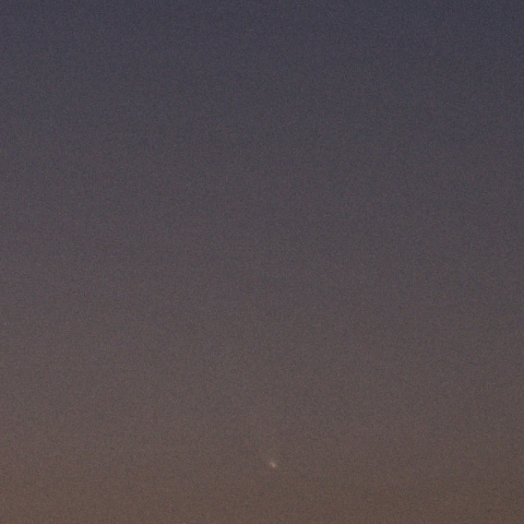 紫金山・アトラス彗星(2024.10.12)