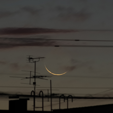 三十日月(月齢28.33)