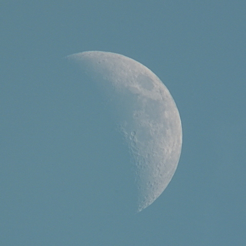 七日月(月齢5.6)