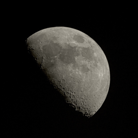 九日月(月齢7.7)