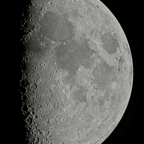 八日月(月齢7.7)