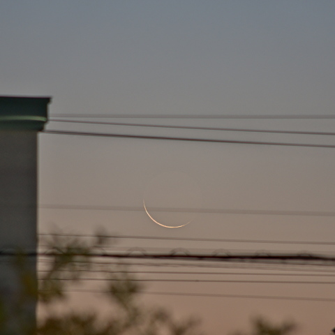 三十日月(月齢28.3)・背景色考