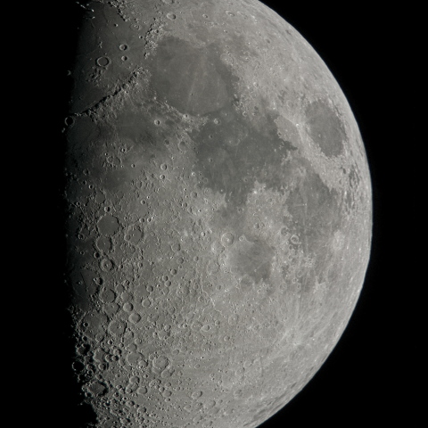 九日月(月齢8.0)