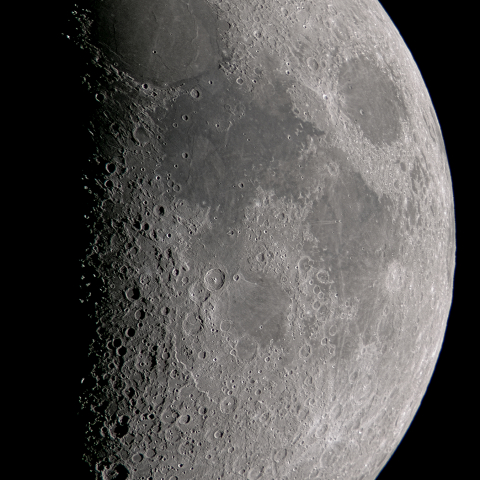 七日月(月齢6.3)