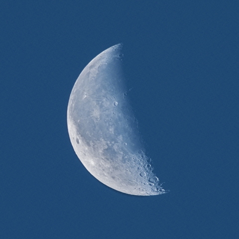 朝の二十四日月(月齢23.1)