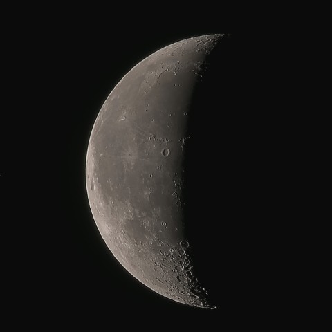 月齢24(再画像処理)