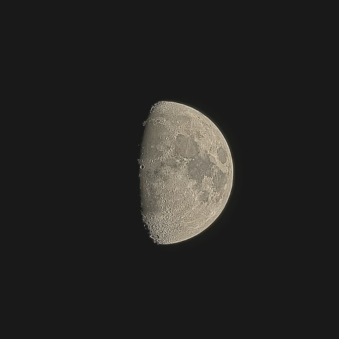 十日夜の月(月齢9.71)