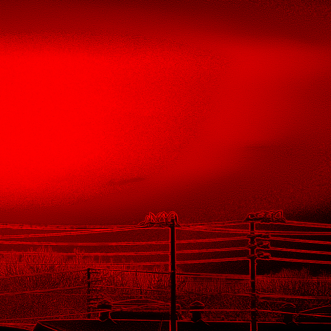 月齢29.25・その後２(では真ん中は？)