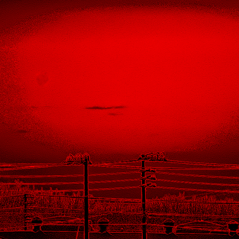 月齢29.25・その後３(再考)