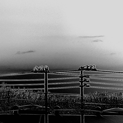 月齢29.25・再画像処理2