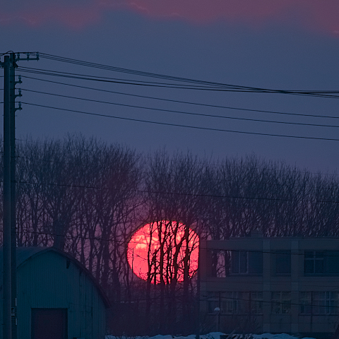 真紅の昇る太陽