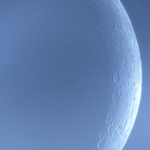 昼の月(月齢2.81)