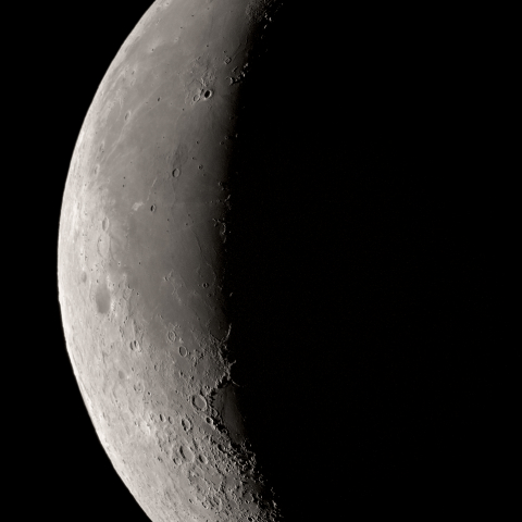 朝の月(月齢25.43)