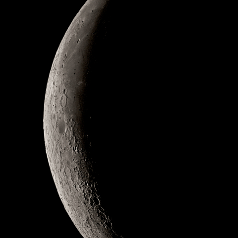 朝の月(月齢26.43)