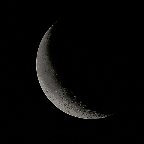 朝の月(有明月、月齢25.31)