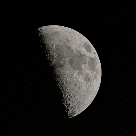 昼の月(上弦、月齢8.36)