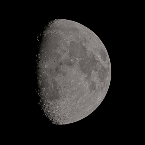 十一日月(月齢10.52)