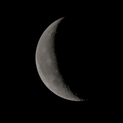 二十五日月(有明月、月齢24.21)