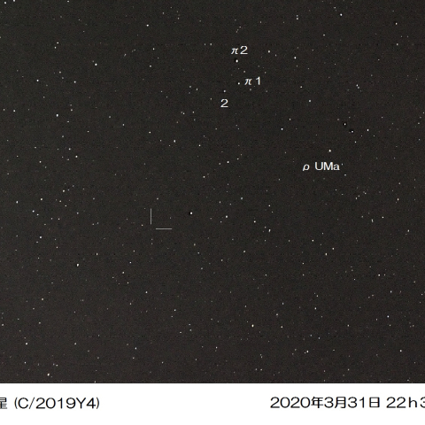 光害地でアトラス彗星(2020.03.31)