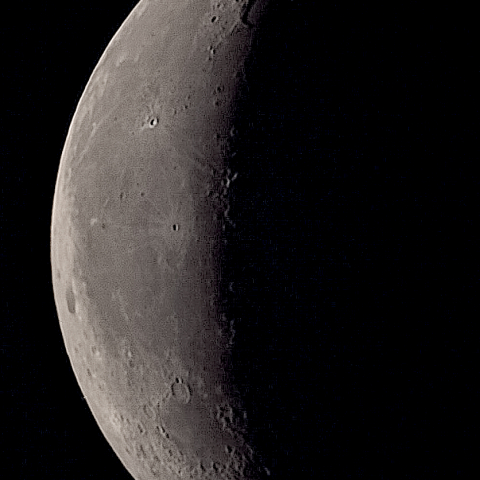 二十六日月(有明月、月齢24.42)