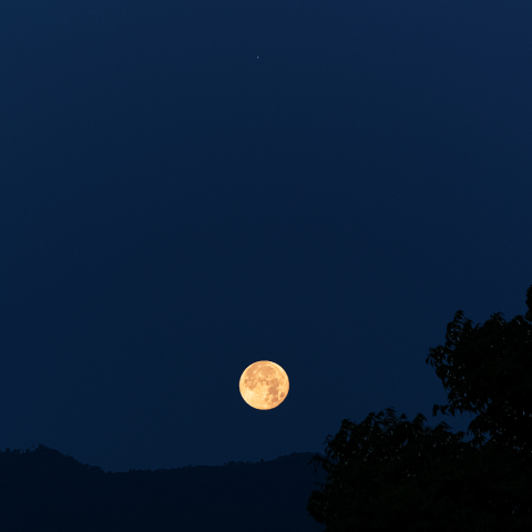 沈める満月と木星