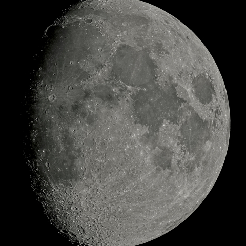 十日月(月齢9.81)