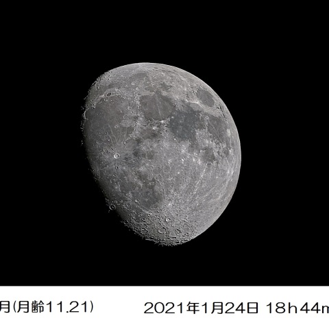 十二日月(月齢11.21)