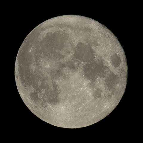 中秋の名月(満月、月齢14.4)