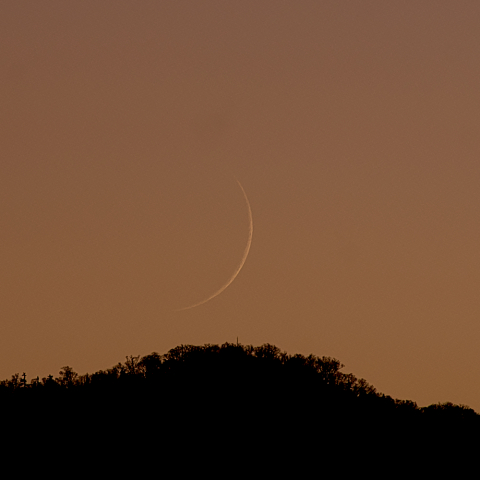 二日月(繊月、月齢1.4)