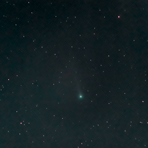 レナード彗星(C/2021 A1)・2021.12.06・再画像処理