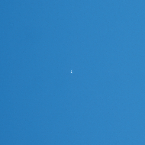 青空の金星(2022.01.23)