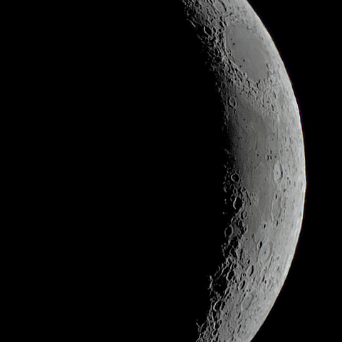 五日月(月齢4.0)