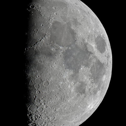 九日月(上弦、月齢8.1)