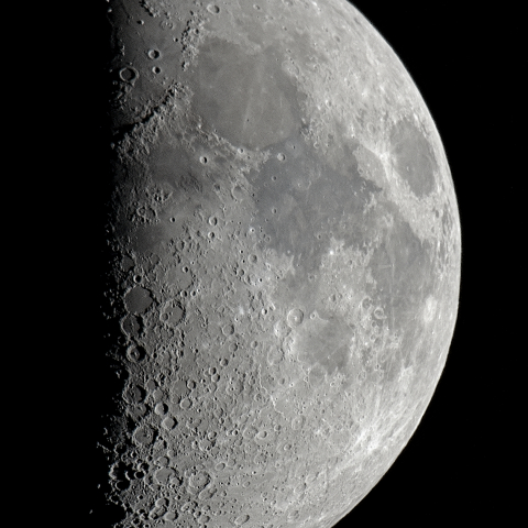 九日月(上弦、月齢8.3)