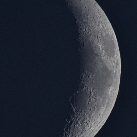 六日月(月齢5.0)