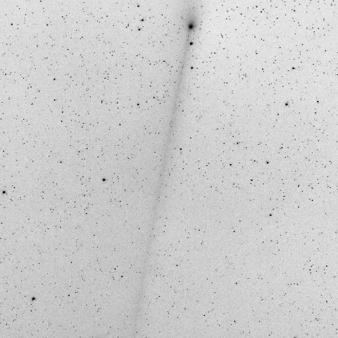 月明のパンスターズ