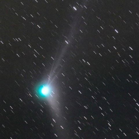 12月20日のカタリナ彗星