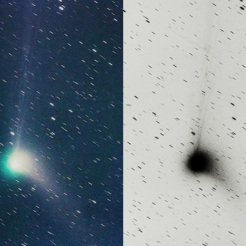 12月30日のカタリナ彗星