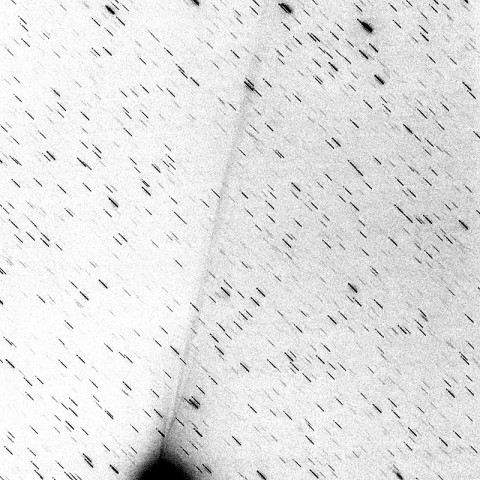 12月31日のカタリナ彗星