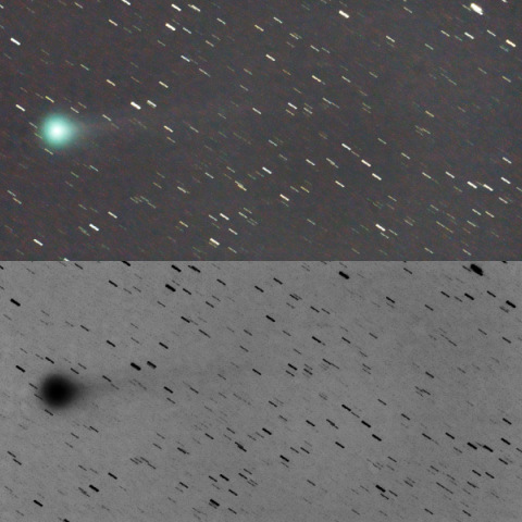 尾が伸び始めたマックノート彗星