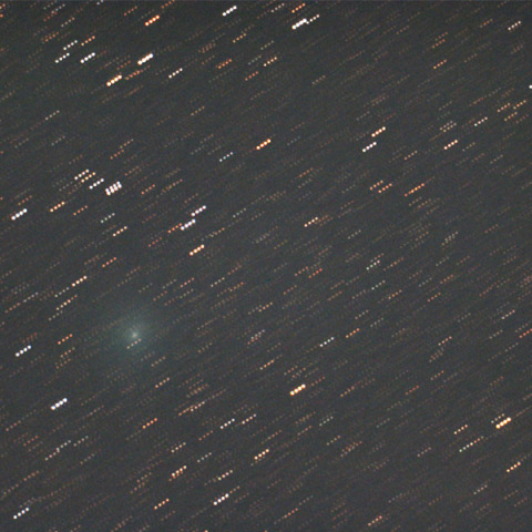 明け方の本田・ムルコス・パイドゥシャーコヴァー彗星