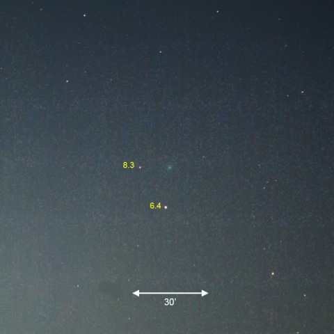 6/26宵のレモン彗星