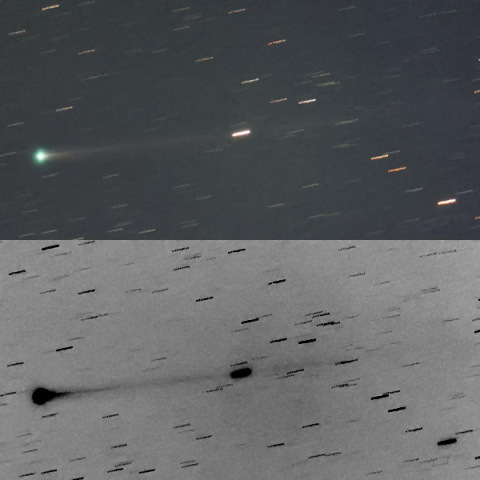 エラスムス彗星（11/22撮影）