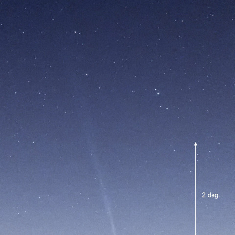 9月10日の西村彗星（C/2023 P1）