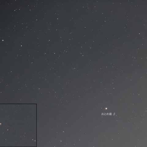 2024年6月5日の紫金山・アトラス彗星（200mmにて撮影）