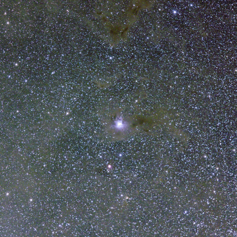 ケフェウス座のアイリス星雲（LBN 487）