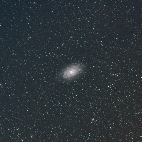 M33