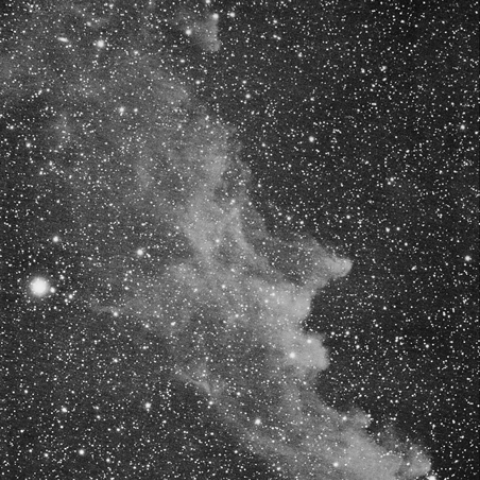 IC2118 エリダヌス座の反射星雲(魔女の横顔)