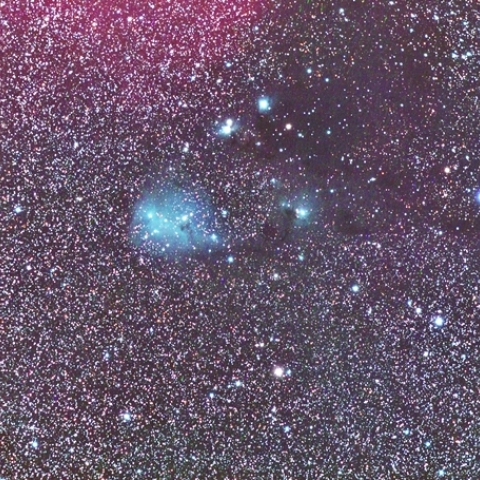 IC2169 いっかくじゅう座の反射星雲(カタツムリ星雲)