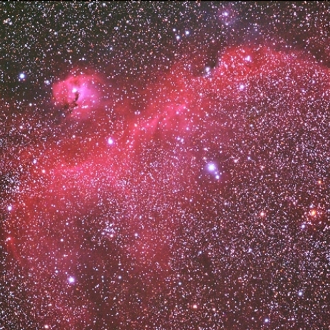 IC2177 いっかくじゅう座の散光星雲(わし星雲)